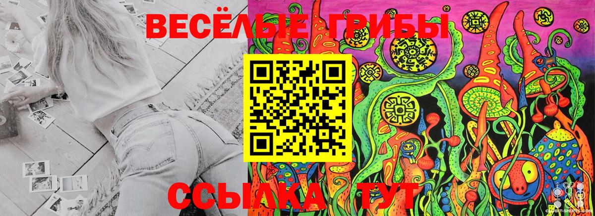 Новозыбков  Галлюциногенные грибы Cubensis  Псилоцибиновые грибы мухоморы  Вход с VPN 