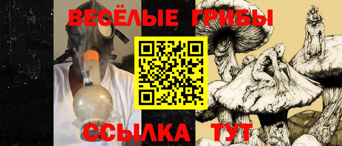 Галлюциногенные грибы мухоморы Новозыбков